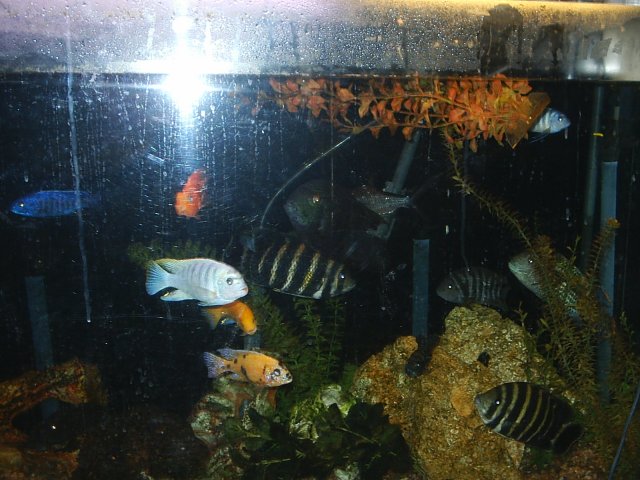 S2010007.JPG