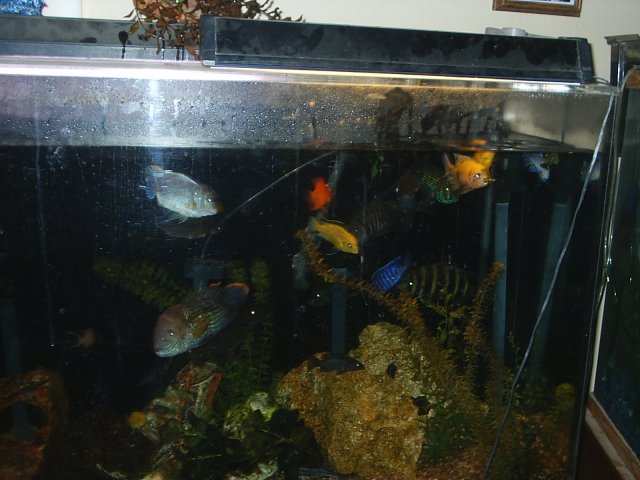 S2010011.JPG