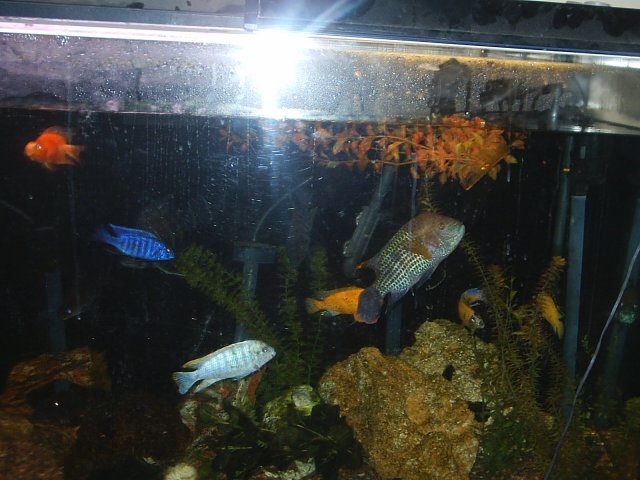 S2010009.JPG