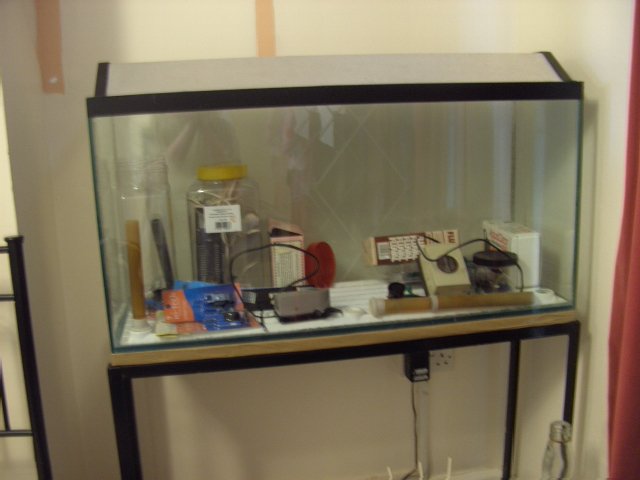 093.JPG 093.JPG