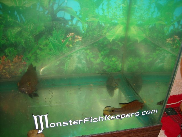 DSCN0021.JPG