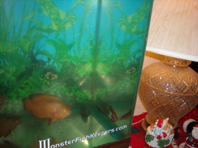 DSCN0019.JPG