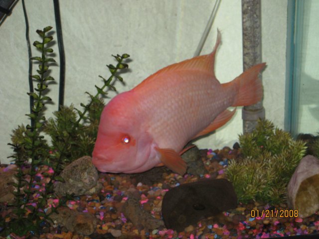 IMG_0073.JPG