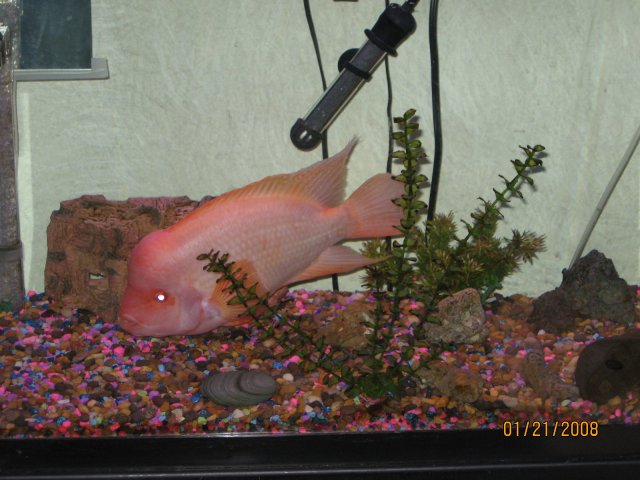 IMG_0075.JPG
