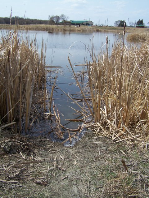 Riverbank Discovery Center 005.jpg
