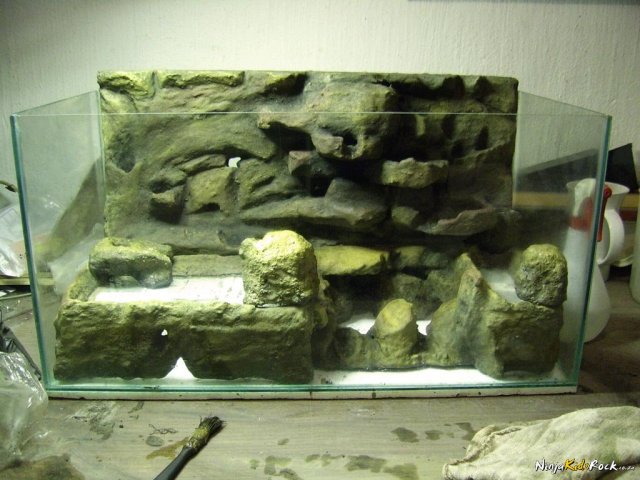 pyxie_rock_front.jpg