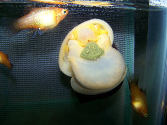 Feeding time 003.jpg