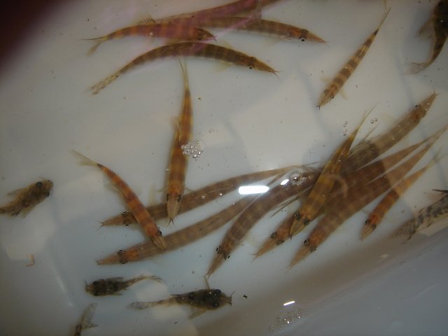 DSC08718.JPG