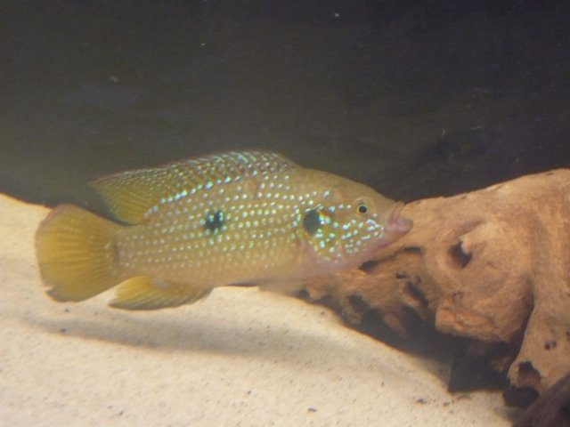 P1020384.JPG