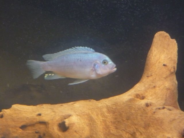 P1020411.JPG