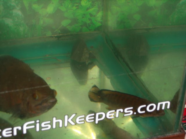 DSCN0020.JPG