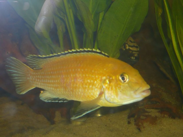 P1010594.JPG