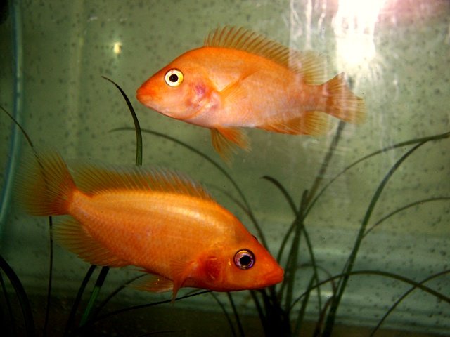 100_0542.jpg 100_0542.jpg