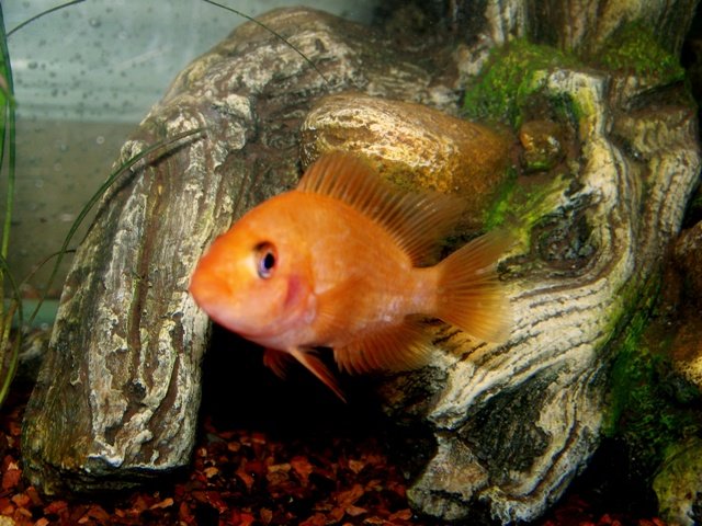 100_0541.jpg 100_0541.jpg