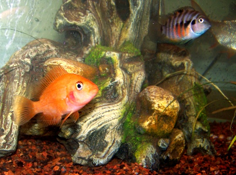 100_0540.jpg 100_0540.jpg