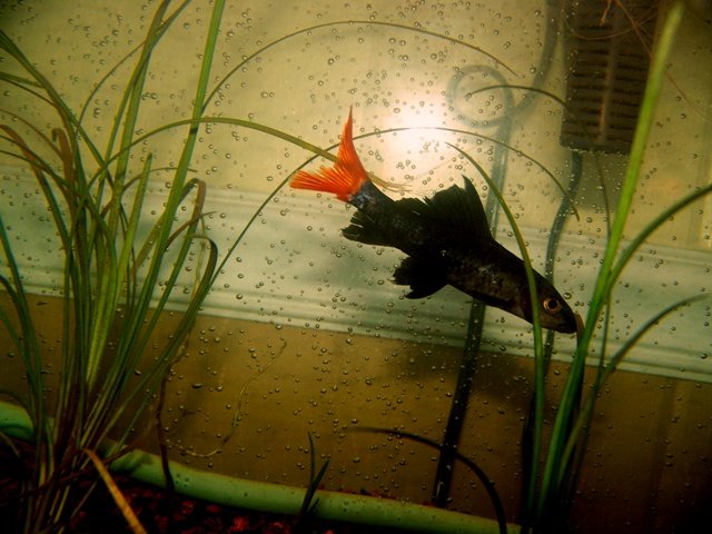100_0548.jpg