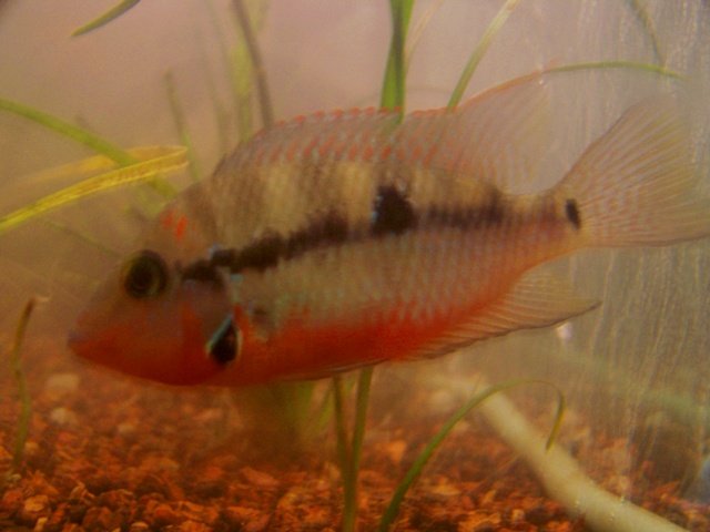 100_0535.jpg