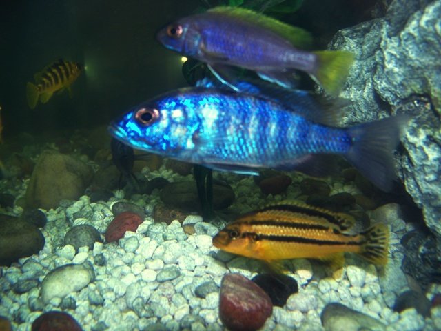 100_0519.jpg
