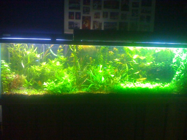 iPhone 024.jpg iPhone 024.jpg