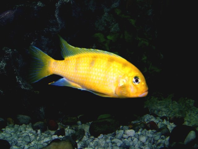 100_0512.jpg