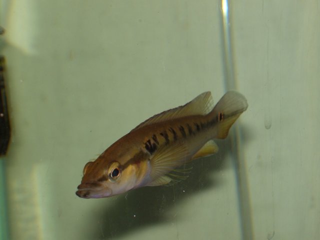 Apr '08 148.jpg