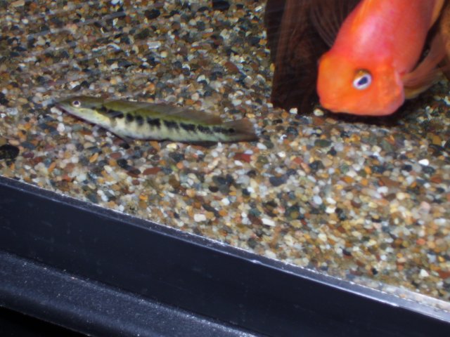 Apr '08 173.jpg