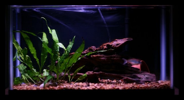 10g03.jpg