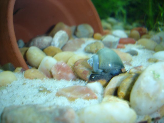 s 003.JPG