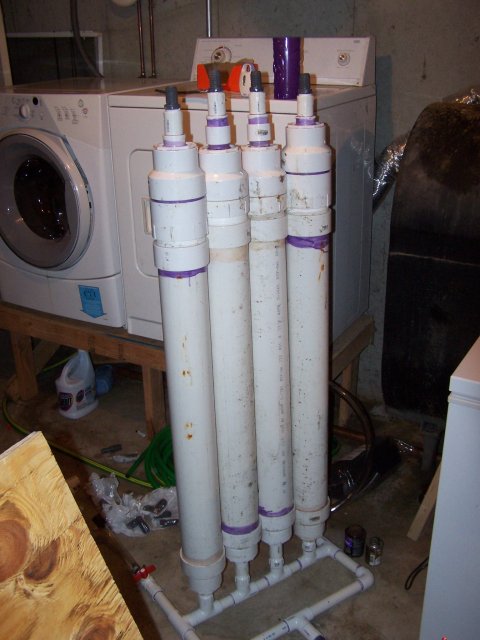 fish 004.jpg
