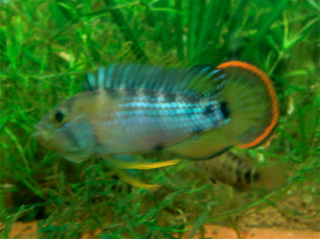 DSC01862.jpg