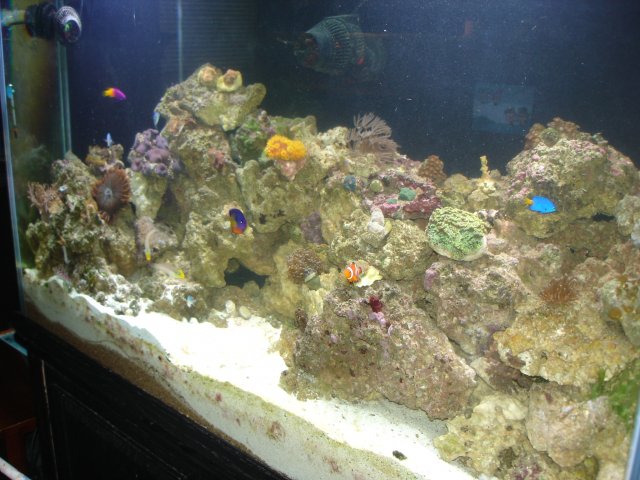 5.17.08 050.jpg