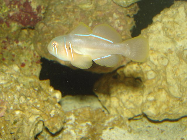 5.01.08 082.jpg