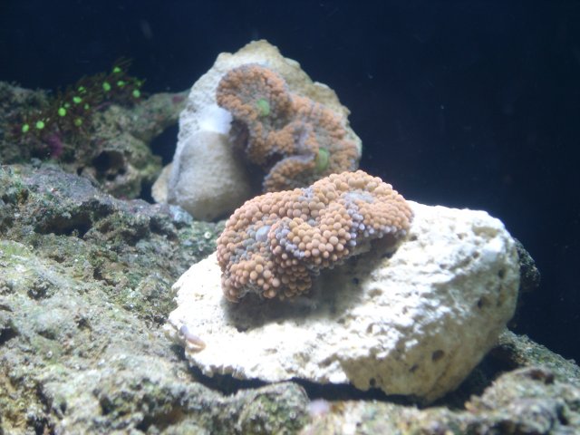 5.09.08 022.jpg