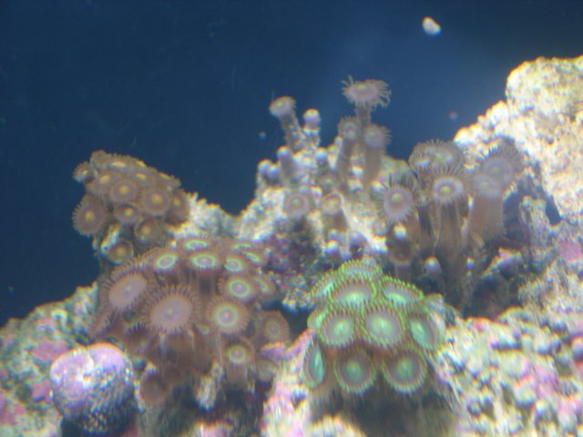 5.09.08 050.jpg