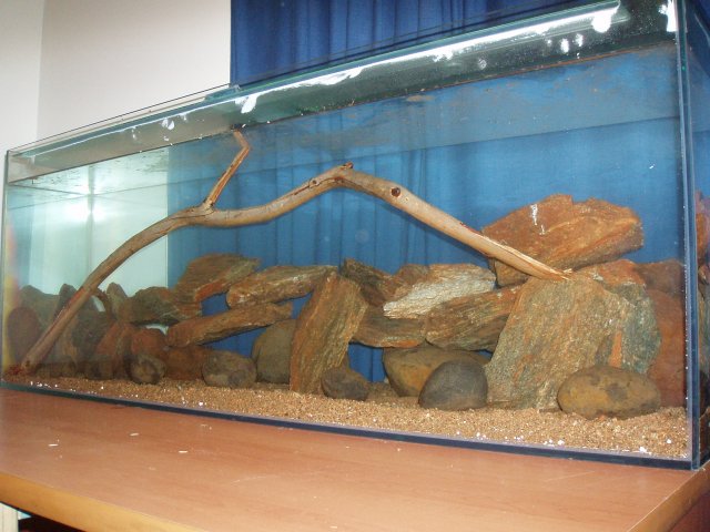 P1010021.JPG