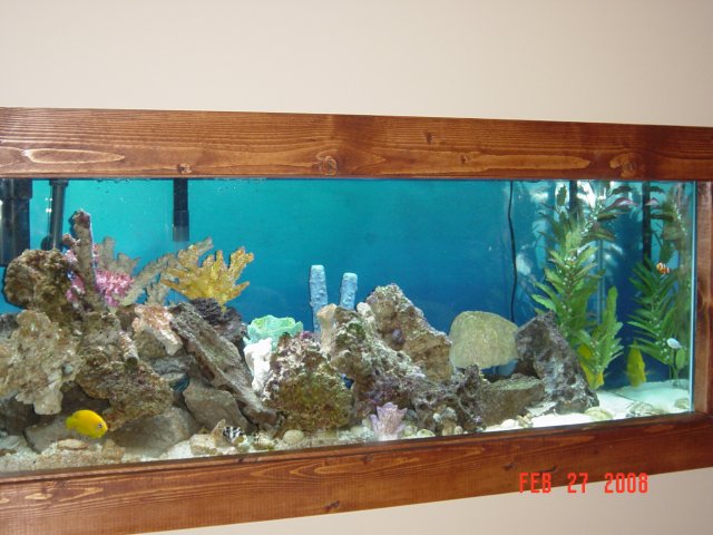 salt-tank 012.jpg