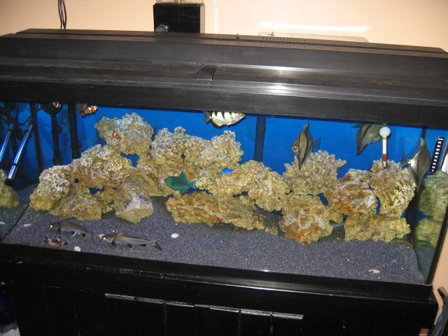 gangstafish 094.jpg