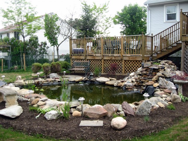 Pond 020.jpg