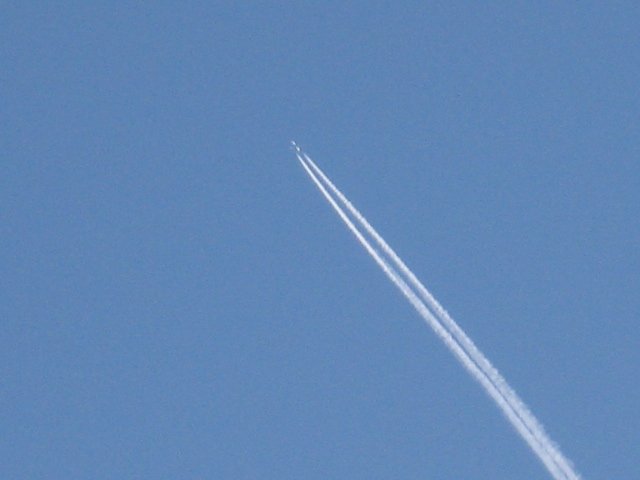 137.JPG