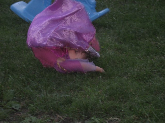 193.JPG