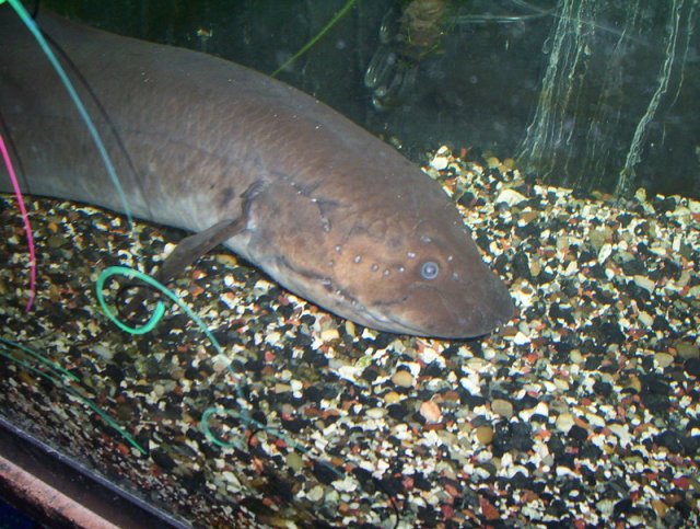 pic 3.jpg