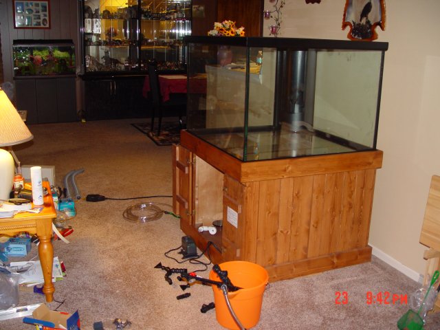 DSC00248.JPG