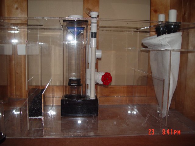 DSC00246.JPG