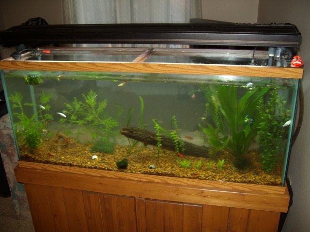 SANY0228.jpg