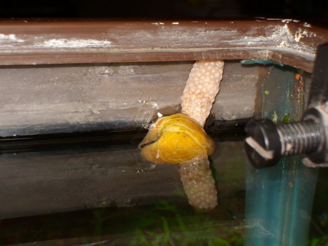 SANY0235.jpg