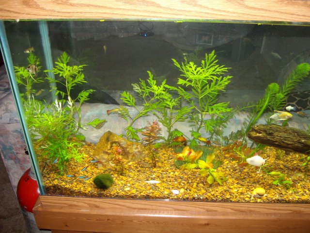 SANY0252.jpg