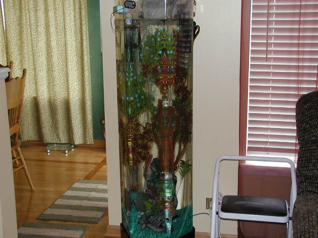 P4260027.JPG P4260027.JPG