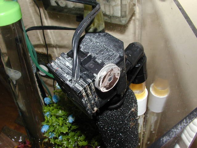 P5240074.JPG P5240074.JPG