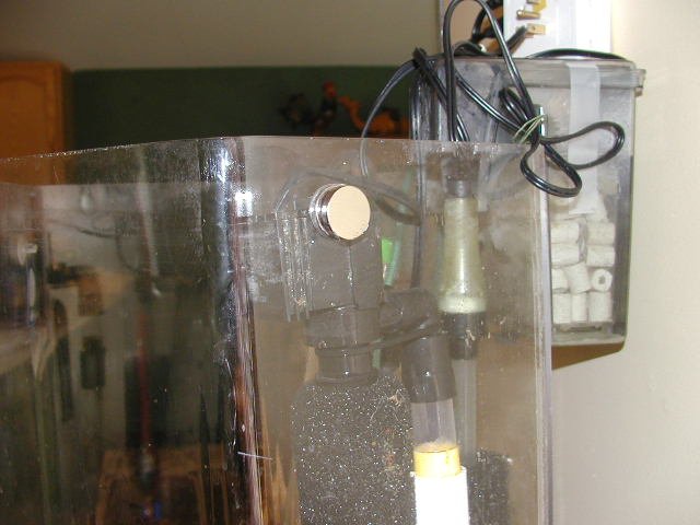 P5240075.JPG P5240075.JPG