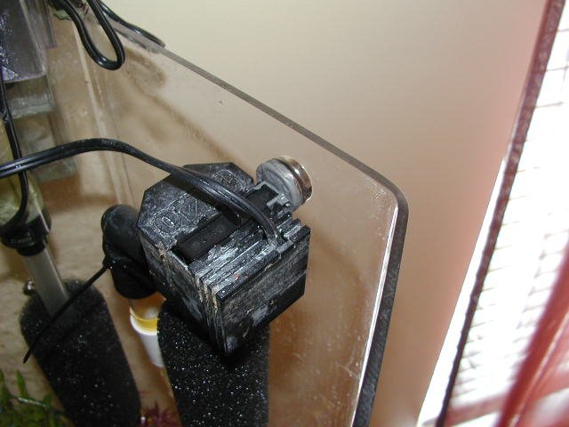 P5240076.JPG P5240076.JPG